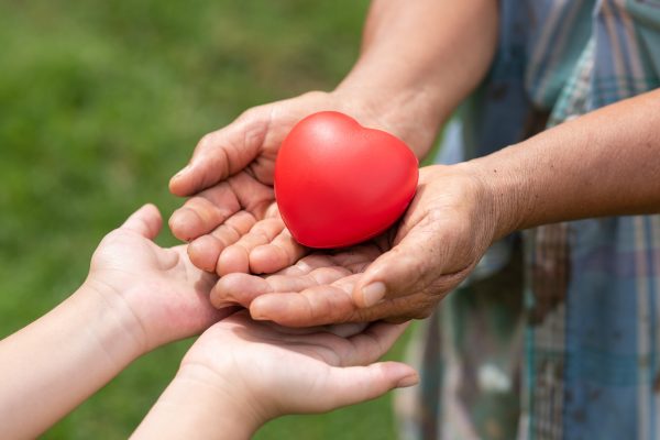 The red rubber heart on hands of elderly and child. Showed the cooperate, love, care, charity of people with differences diversity for sustain develop of farmer, community, society and the environment